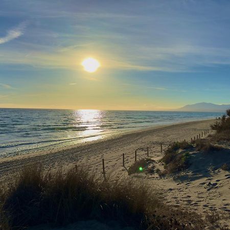 Apartamento Marbella Alicate Beach Eksteriør billede